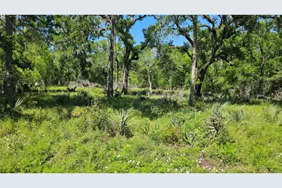 248 Middle Bayou Trail, Angleton, TX 77515 - Photo 11