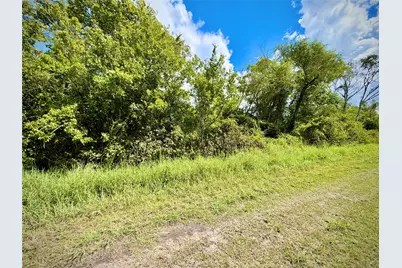 0 County Road 121 Off-Nar, Rosharon, TX 77584 - Photo 7