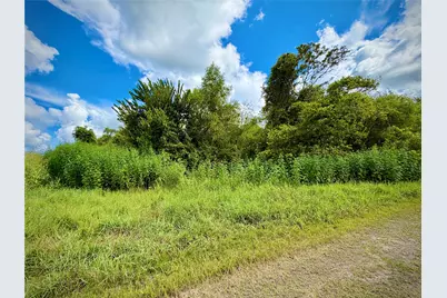 0 County Road 121 Off-Nar, Rosharon, TX 77584 - Photo 1