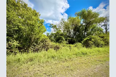 0 County Road 121 Off-Nar, Rosharon, TX 77584 - Photo 11