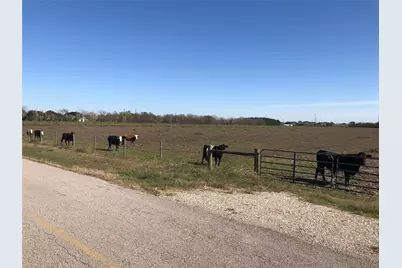 00 Dannhaus Road, Needville, TX 77461 - Photo 17