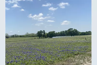 6049 Fm 3090 Road, Anderson, TX 77830 - Photo 9