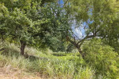 230 Vineyard View Trail Lot 24, Carmine, TX 78932 - Photo 3