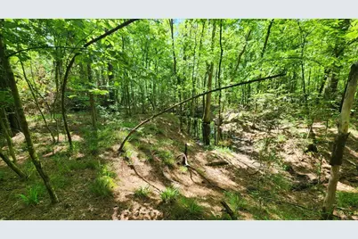 P#4 - Tbd Us-190, Point Blank, TX 77364 - Photo 17