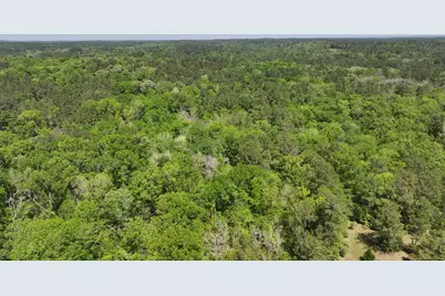 P#4 - Tbd Us-190, Point Blank, TX 77364 - Photo 23