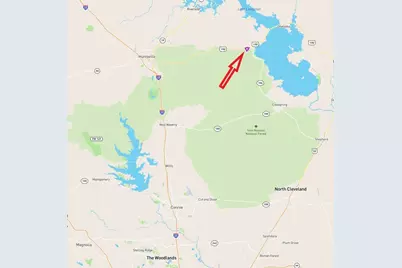 P#4 - Tbd Us-190, Point Blank, TX 77364 - Photo 3