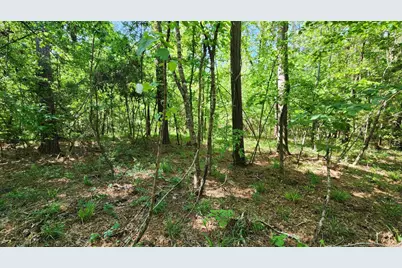 P#4 - Tbd Us-190, Point Blank, TX 77364 - Photo 15