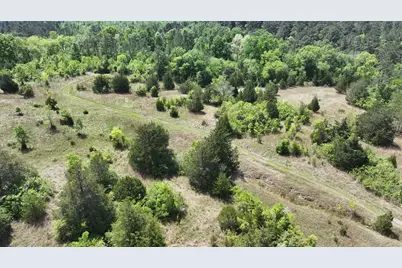 P#4 - Tbd Us-190, Point Blank, TX 77364 - Photo 1