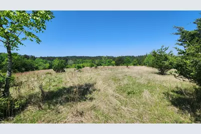 P#4 - Tbd Us-190, Point Blank, TX 77364 - Photo 19