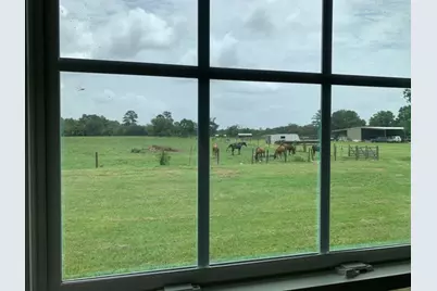 29231 Sheffield Rd Road, Hockley, TX 77447 - Photo 11