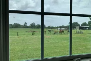 29231 Sheffield Rd Rd, Hockley, TX 77447 - Photo 11