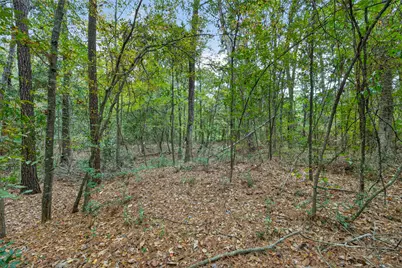 Lot 410 North Woods, Cleveland, TX 77328 - Photo 3