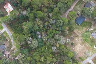 Lot 410 North Woods, Cleveland, TX 77328 - Photo 17