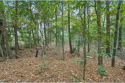 Lot 410 North Woods, Cleveland, TX 77328 - Photo 7