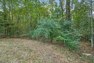 Lot 410 North Woods, Cleveland, TX 77328 - Photo 5