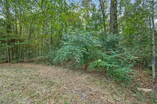 Lot 410 North Woods, Cleveland, TX 77328 - Photo 5