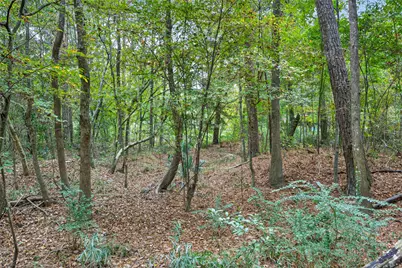 Lot 410 North Woods, Cleveland, TX 77328 - Photo 13