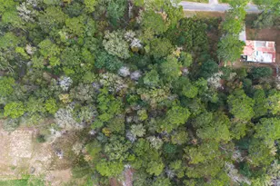 Lot 410 North Woods, Cleveland, TX 77328 - Photo 19