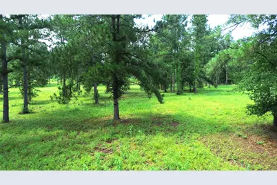 1320 Buckhorn Creek, Crockett, TX 75835 - Photo 11
