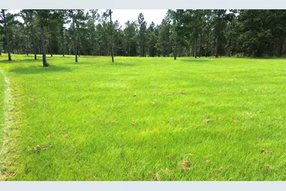1320 Buckhorn Creek, Crockett, TX 75835 - Photo 21