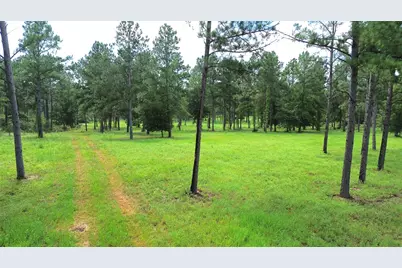 1320 Buckhorn Creek, Crockett, TX 75835 - Photo 9