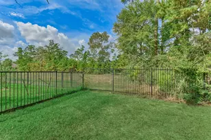 14109 N Evergreen Ridge Ct, Conroe, TX 77384 - Photo 41