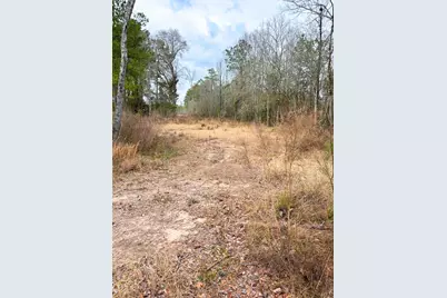 12280 Pelt, Kountze, TX 77625 - Photo 3