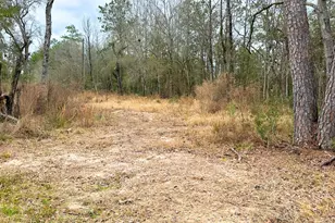 12280 Pelt, Kountze, TX 77625 - Photo 1