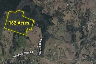 24 Lindley Survey Abstract, Willis, TX 77318 - Photo 3