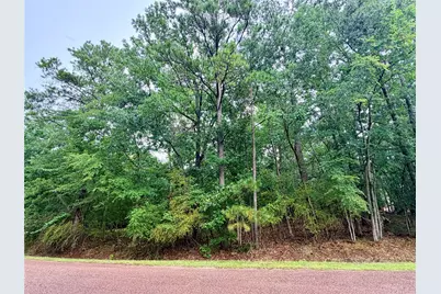 85 S Royale Greens Drive, Coldspring, TX 77331 - Photo 3