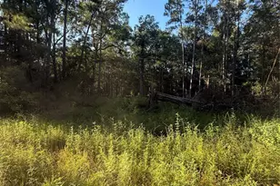 Tbd Charlie Pride Dr, Livingston, TX 77351 - Photo 1