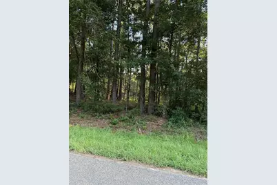 Tbd Charlie Pride Drive, Livingston, TX 77351 - Photo 3