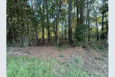 Tbd Charlie Pride Drive, Livingston, TX 77351 - Photo 5