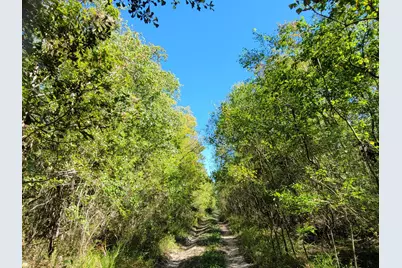 10785 Fm-2518, Cleveland, TX 77327 - Photo 5