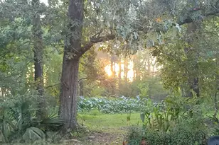 6B Davidson Ln, Huffman, TX 77336 - Photo 17