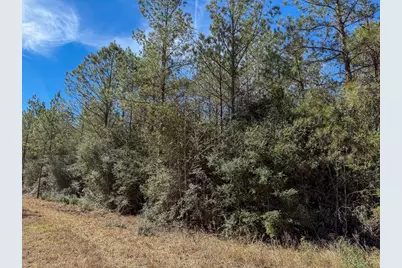 1 Lyons Cemetery Road, Moscow, TX 75960 - Photo 5