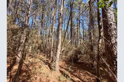 1 Lyons Cemetery Road, Moscow, TX 75960 - Photo 7