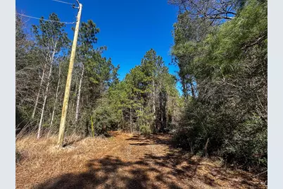 1 Lyons Cemetery Road, Moscow, TX 75960 - Photo 11