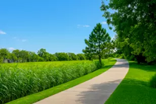 3314 N Macgregor, Houston, TX 77004 - Photo 17