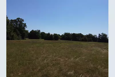 Tbd County Road 295, Garrison, TX 75946 - Photo 5