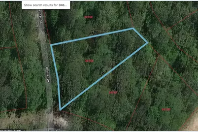 Tbd Deodar Drive, Brookeland, TX 75931 - Photo 13