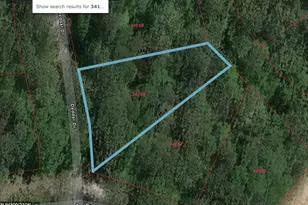 Tbd Deodar Dr, Brookeland, TX 75931 - Photo 13