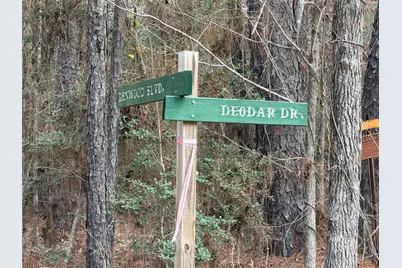 Tbd Deodar Drive, Brookeland, TX 75931 - Photo 9