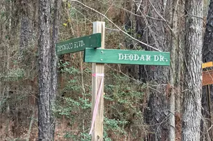 Tbd Deodar Dr, Brookeland, TX 75931 - Photo 9