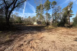 Tbd Deodar Dr, Brookeland, TX 75931 - Photo 1