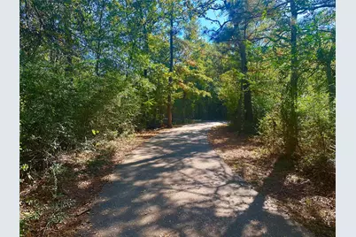 3318 Iron Pine Lane, Conroe, TX 77301 - Photo 35