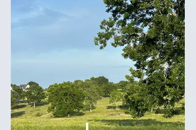 10549 Sunny Meadow Drive, Chappell Hill, TX 77426 - Photo 3