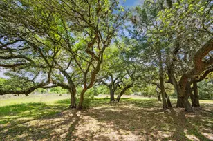 12227 Frantz Rd, Cat Spring, TX 78933 - Photo 11