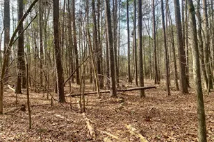 1135 Beaver Dam Rd, Washington, GA 30673 - Photo 35