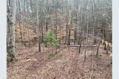 1135 Beaverdam Road, Washington, GA 30673 - Photo 41